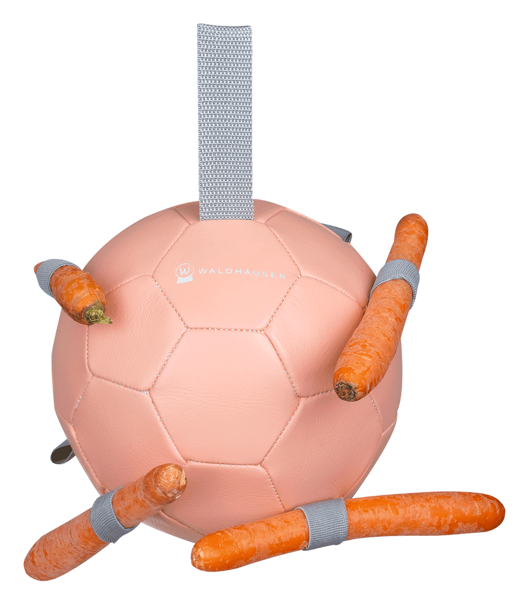 Waldhausen Carrot Ball gulerodsbold