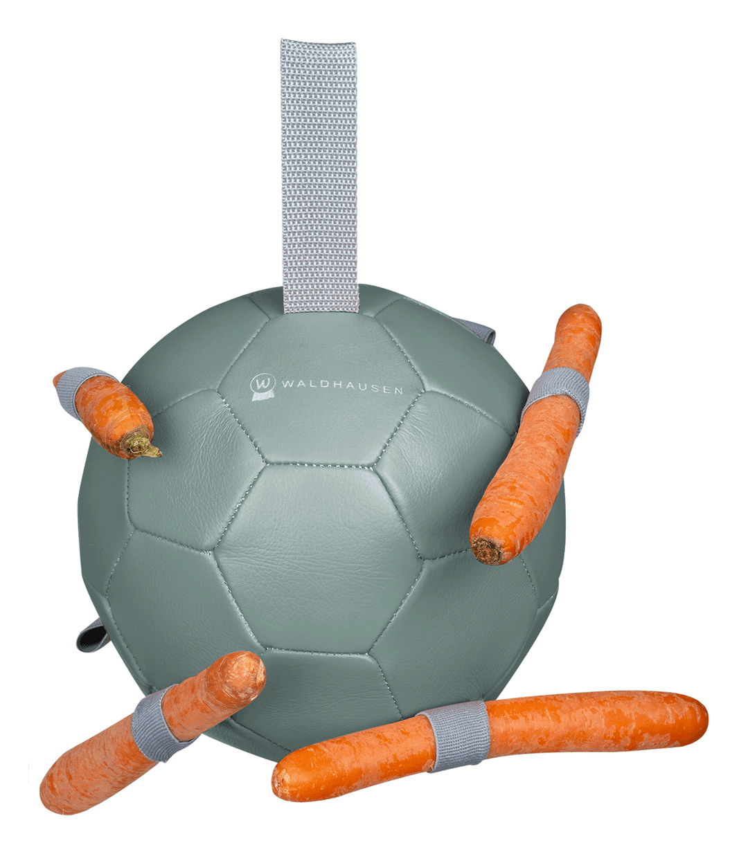 Waldhausen Carrot Ball gulerodsbold