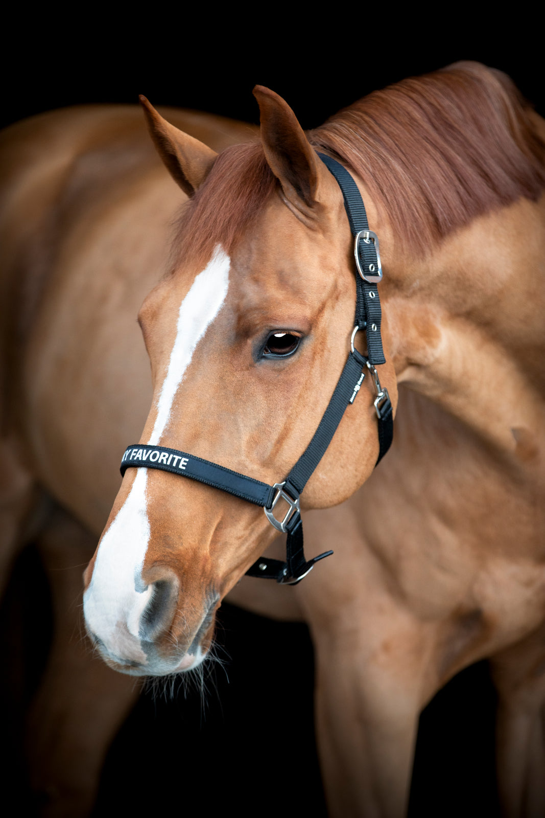 HorseGuard Malva grime med tekst