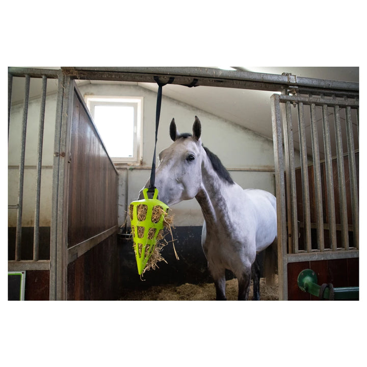 Excellent Hay Slowfeeder Fun & Flex gulerod