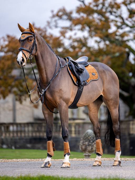 LeMieux Loire Classic Square CC springunderlag